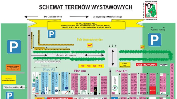 schemat